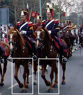 Granaderos de San Martin